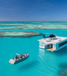 汉密尔顿岛游记图文-观鲸季到了，澳大利亚又多了一个观鲸好去处！