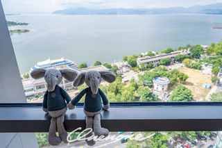 山水之间，无尽玩味（大理俊发铂尔曼酒店体验）