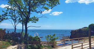 大连旅游攻略三日游怎么安排旅游，樱桃饼千万不能错过