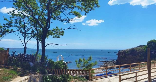 大连旅游攻略三日游怎么安排旅游,樱桃饼千万不能错过
