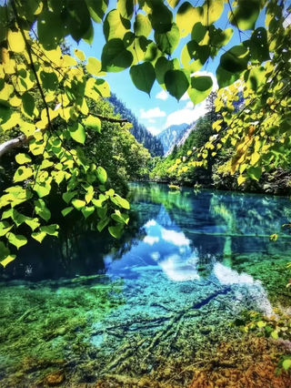 您的假期已余额不足 但阿坝的美好回忆永远满格