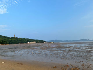 普陀山2024端午游