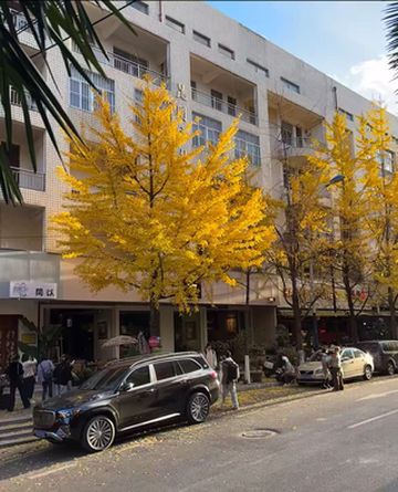 这次昆明之行入住的翠湖丽瑞德酒店真的给了超多惊喜!位置绝佳就在翠湖公园旁,步行几