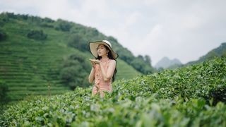 英德积庆里红茶谷：在茶香与温泉间，藏着岭南的诗意慢生活