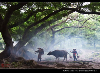 2023年五一霞浦行摄