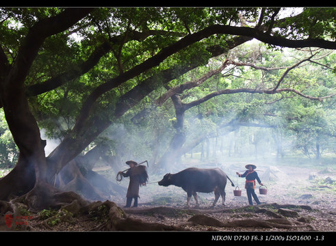 2023年五一霞浦行摄