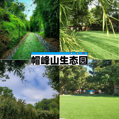 广州番禺区周边农家乐一日游