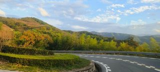 看山看水看风景 关于宁波的美景和美食