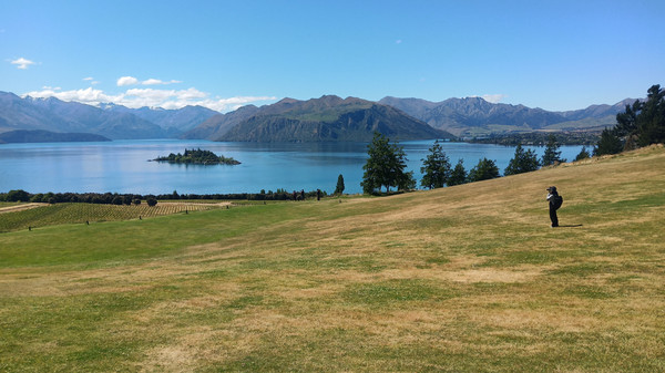 站在酒庄的最高处可以看到瓦纳卡湖(lake wanaka),天蓝蓝水