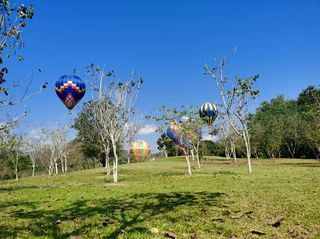 一年四季皆是春，又到彩云之南时。