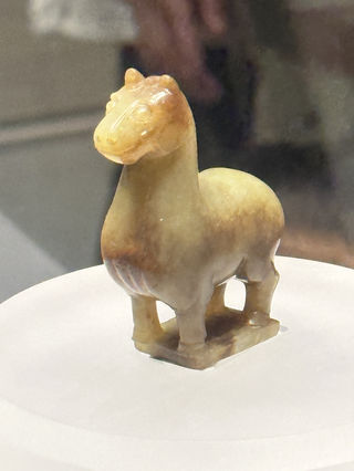 清明节山东曲阜亲子游