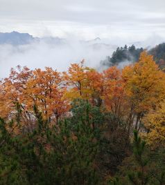 郧西游记图文-秦巴山区金秋行