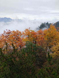 丹江口大坝景区/丹江口市政府游记图片] 秦巴山区金秋行