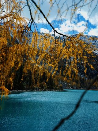 秋季川西玉科甲依拉措的红叶彩林路线值得推荐