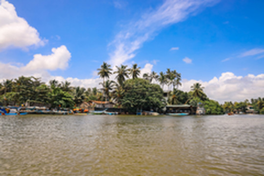 斯里兰卡游记图片] 斯里兰卡9日游，邂逅那个梦中的国度