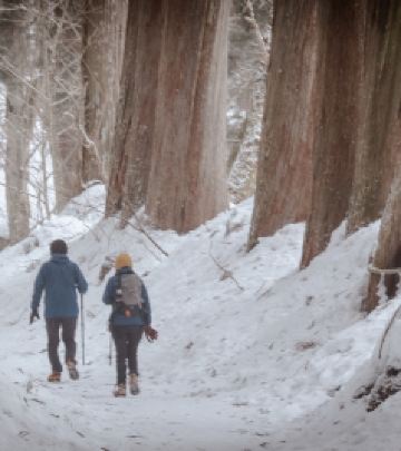 长野市游记图文-七天六晚｜从东京到长野，在500年的参天红杉间踏雪徒步！