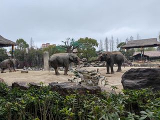 上海六日 感受魔都的魔力