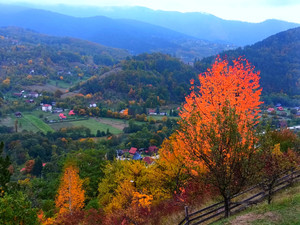 萨拉热窝游记图文-《巴尔干双桥记：碎过又圆的石拱，燃过新生的钢虹》​