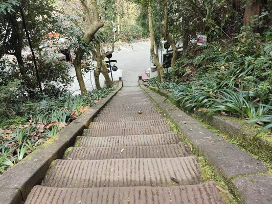 美丽朝阳湖