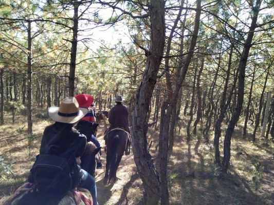 拉市海一日游丨纵享丽江慢时光