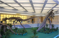 诸城游记图片] “中国龙城，舜帝故里“欢迎来到诸城