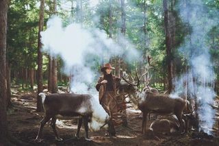 秋日大片拍摄攻略|呼伦贝尔出片儿景点盘点