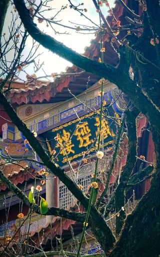 昆明秋日暴击!美景+美食+神仙下午茶全攻略✨