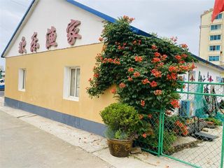 辽宁大连獐子岛欢乐渔家院民宿步行可到玻璃海，可以尝试亲手捕捞海鲜!