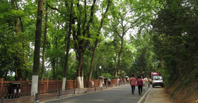 (湖南)长沙5天4晚天玄商务舱体验行