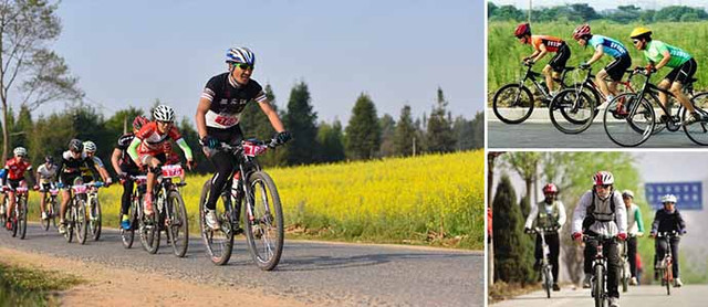 周末度假来上海长兴岛桔园农庄租车骑行