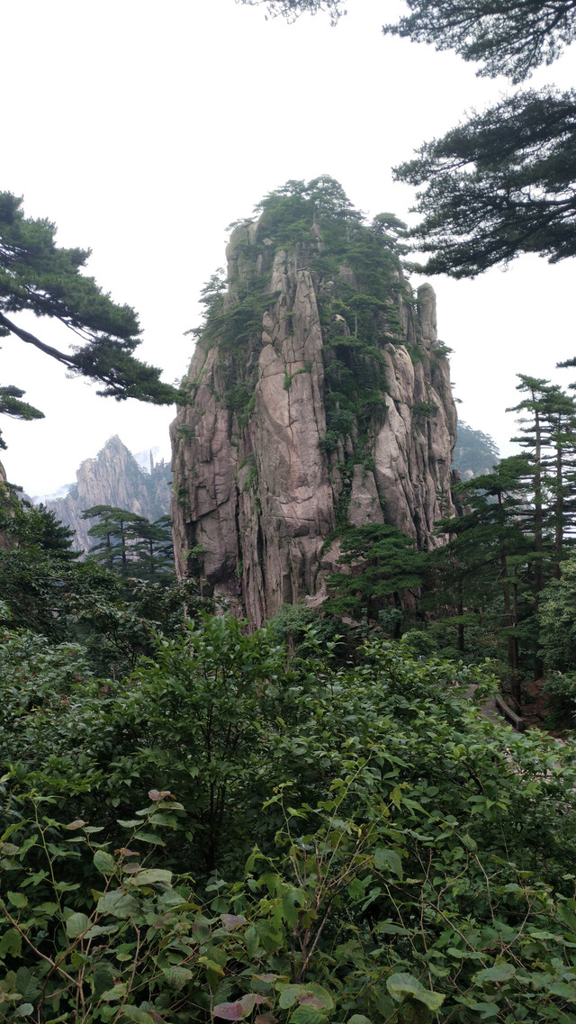 霞客行 | 探寻徐霞客的足迹之旅——黄山攻略