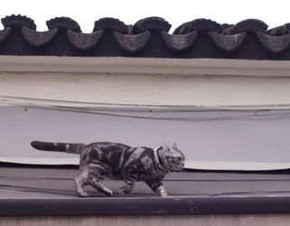 最不像弹棉花的四手联弹