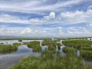 有一种美叫做甘南