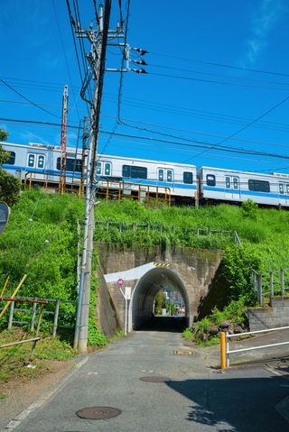 东京秦野|重启人生 City Walk!