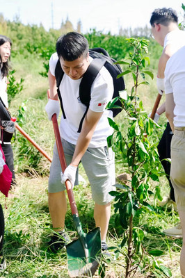 乐活营地:上海秋日环保植树团建,共绘绿色梦想画卷