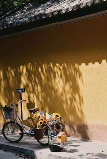 昆明黄公东街漫游指南|住对酒店才懂的老城浪漫🌼