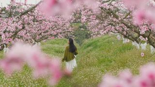 去绵竹赏花后,我才觉得这个春天算圆满~