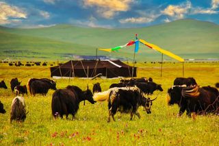 川西宝藏级国庆自驾游线路，人少景美，拿走不谢！