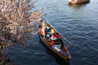 源于千岛湖的一场旅行 浙江行记