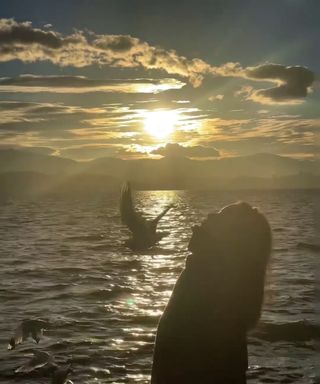 听说，大理和丽江都有风！