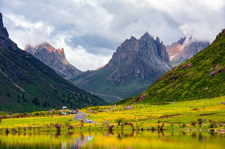 当莲宝叶则遇见夏天  便成了人间绝色