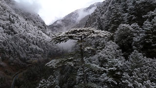 4860 米极致浪漫！达古冰川的冬日打卡图鉴