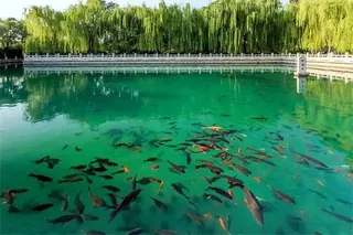 清雅曲水亭街，比丽江更有诗情画意