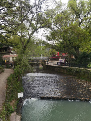 20250403夫妻自驾随性游第二十六站：丽水-杭州