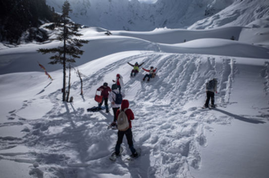 带着77岁老妈游西藏（六）波密噶瓦隆冰川，再探桃花沟