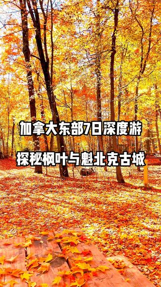 多伦多包车游 加东深度游 追枫叶魁北克鬼怪