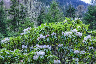 5.19中国旅游日免门票！十大清凉玩法解锁毕棚沟初夏治愈时光