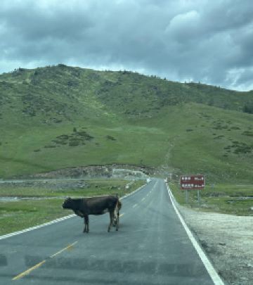 禾木风景区/吉克普林国际滑雪度假区游记图文-疆来时——北疆8日行之三——禾木、贾等峪