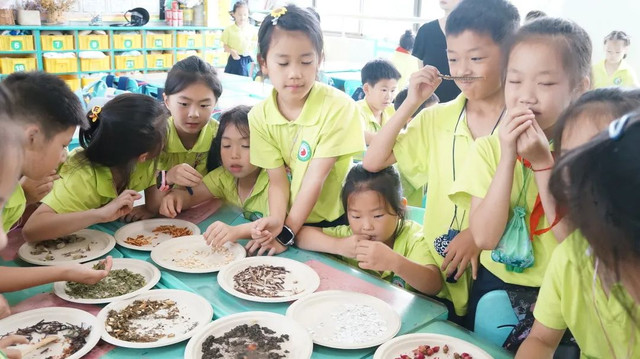 迎端午、识草药、制香囊---中医文化进校园