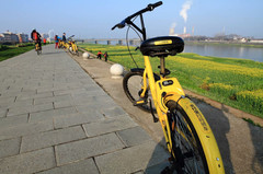 兰溪游记图片] 金兰 ofo